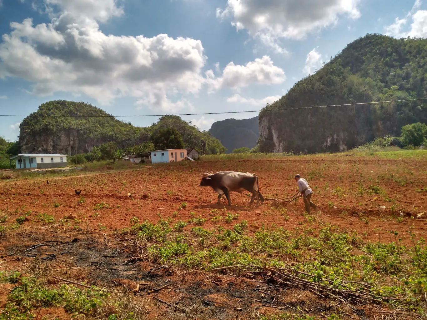 field_vinales