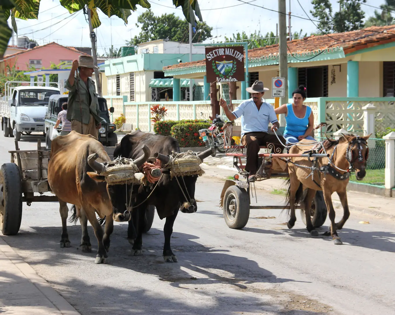 vinales_village_horse